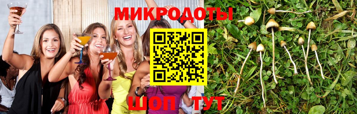 Лобня  купить закладку  Галлюциногенные грибы Psilocybine cubensis  Вход с VPN  Псилоцибиновые грибы Psilocybine cubensis 